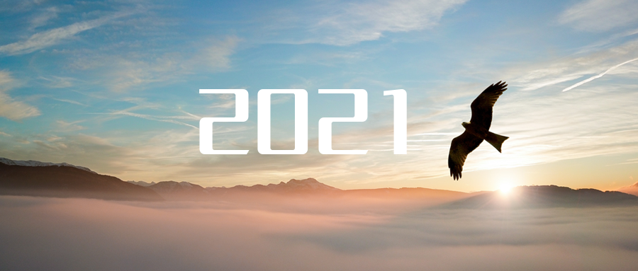 乘“峰”而上，智“盈”未来 ——2021年非凡娱乐环境高级资深副总裁新年开工动员